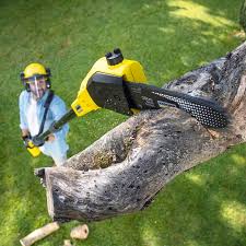 Best Lawn Mowing Services  in Boulder Creek, CA