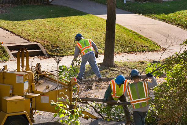 Best Lawn Seeding Services  in Boulder Creek, CA